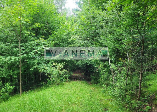 IBA U NÁS! ponúkame pozemok na polosamote Lazy pod Makytou