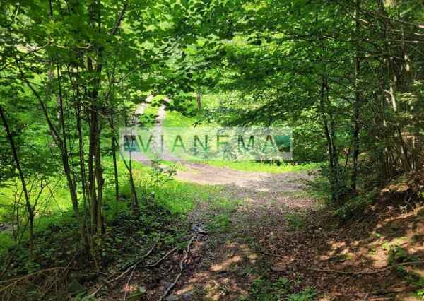 IBA U NÁS! ponúkame pozemok na polosamote Lazy pod Makytou