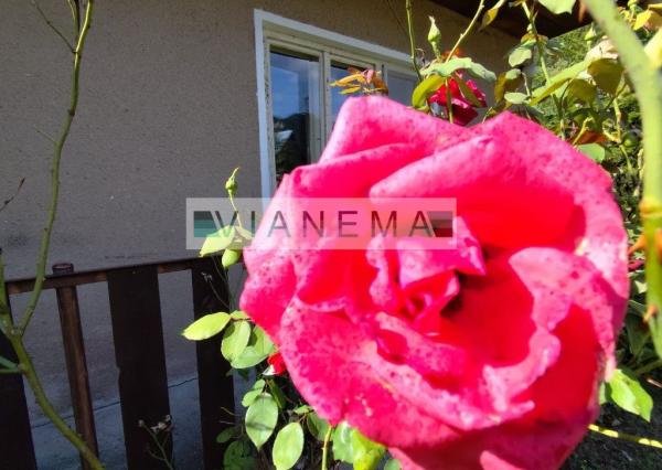 REZERVOVANÝ! Rodinný dom s peknou záhradou v Zliechove