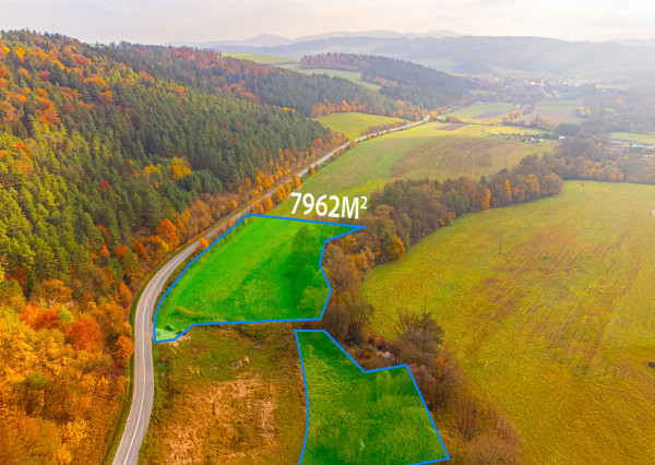 Exkluzívne ponúkame rekreačný pozemok, Dolný Lieskov