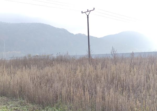 REZERVOVANÉ   IBA U NÁS! Investičné pozemky Ladce