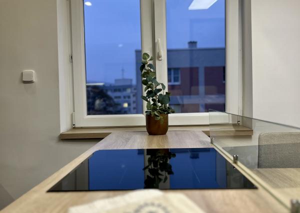 PRENAJATÉ - Na prenájom 2-izbový byt s parkovaním Bratislava-Staré Mesto