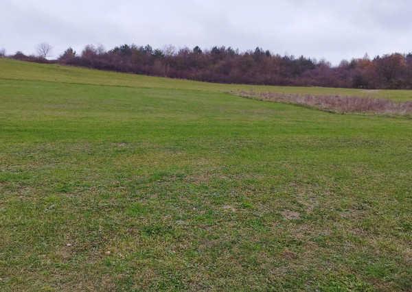 Stavebný pozemok v obci Horný Lieskov, okres Pov. Bystrica