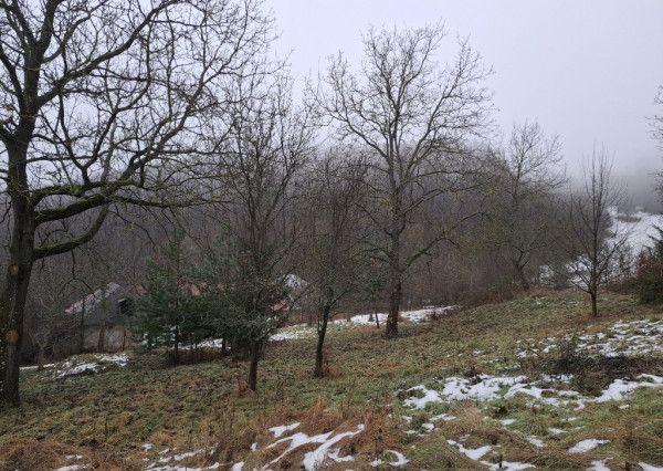 Chalupa na spoločnom pozemku pod horami nad obcou Haluzice