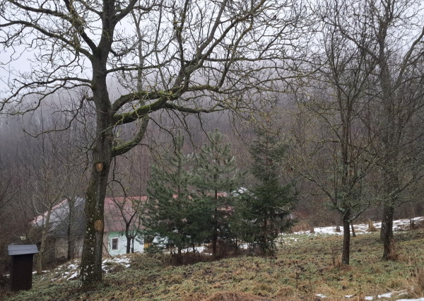 Chalupa na spoločnom pozemku pod horami nad obcou Haluzice