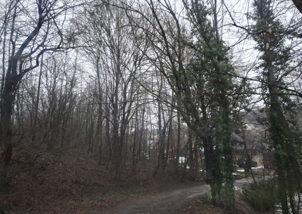 Chalupa na spoločnom pozemku pod horami nad obcou Haluzice