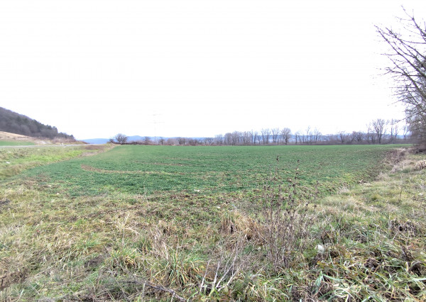 IBA U NÁS! Slnečné pozemky Horovce okres Púchov