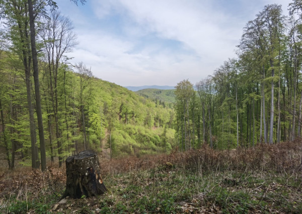 IBA U NÁS! Slnečné pozemky Horovce okres Púchov