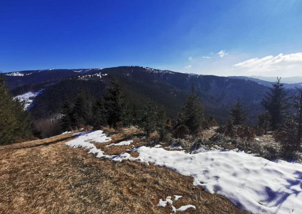 IBA U NÁS! Rekreačné pozemky Dolná Breznica okres Púchov