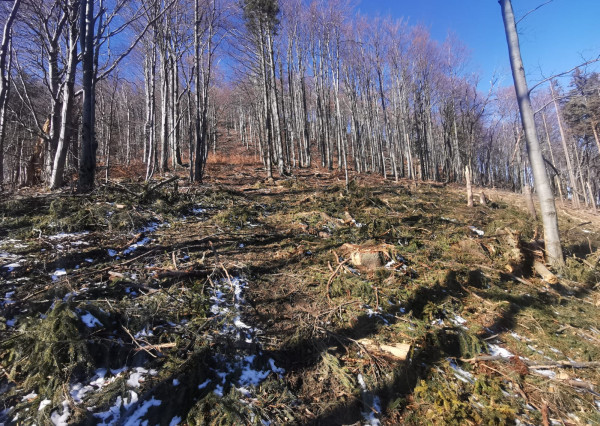 IBA U NÁS! Rekreačné pozemky Dolná Breznica okres Púchov