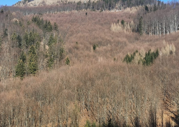 IBA U NÁS! Rekreačné pozemky Dolná Breznica okres Púchov