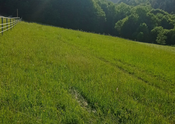 Predaj pozemku v Púchove, časť Vieska - Bezdedov