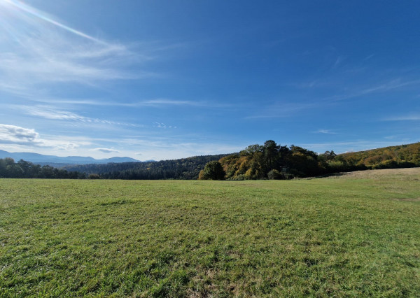 IBA U NÁS na predaj pozemok, Rybárikov Laz ,Pov.Bystrica
