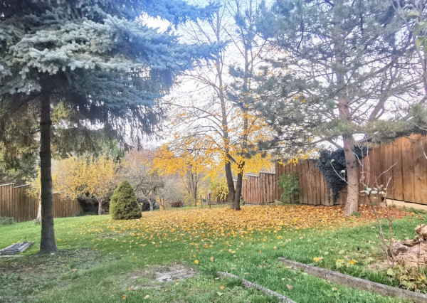 IBA U NÁS! Rodinný  Cérová – Rozbehy