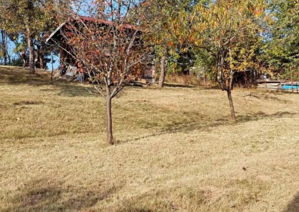 Pozemok nad Belianskym jazerom