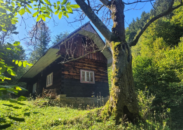 IBA U NÁS! Pôvodná drevenica na polosamote - Horná Mariková