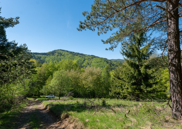 IBA U NÁS! Pozemok na samote v lese - Lazy pod Makytou