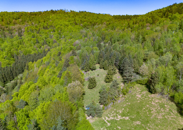 IBA U NÁS! Pozemok na samote v lese - Lazy pod Makytou