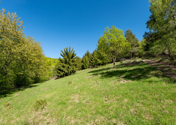 IBA U NÁS! Pozemok na samote v lese - Lazy pod Makytou