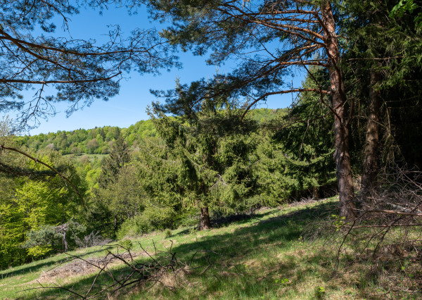 IBA U NÁS! Pozemok na samote v lese - Lazy pod Makytou