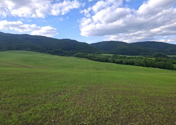 IBA U NÁS! Investičný pozemok na okraji obce Dohňany, Púchov