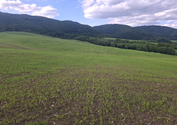 IBA U NÁS! Investičný pozemok na okraji obce Dohňany, Púchov