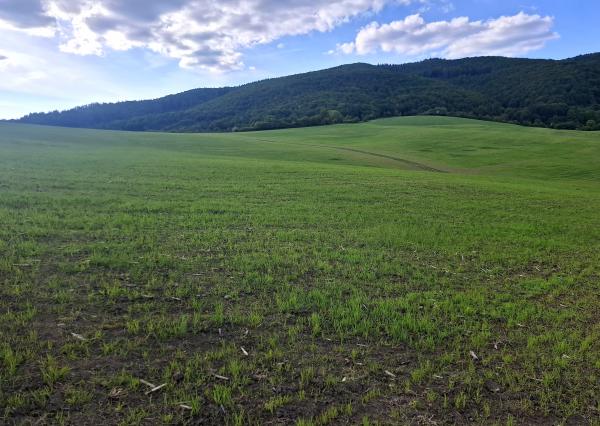 IBA U NÁS! Investičný pozemok na okraji obce Dohňany, Púchov