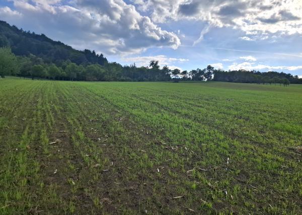 IBA U NÁS! Investičný pozemok na okraji obce Dohňany, Púchov