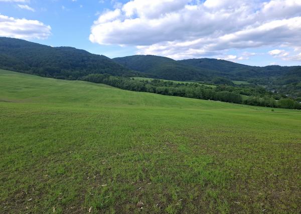 IBA U NÁS! Investičný pozemok na okraji obce Dohňany, Púchov