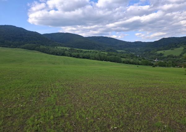 IBA U NÁS! Investičný pozemok na okraji obce Dohňany, Púchov