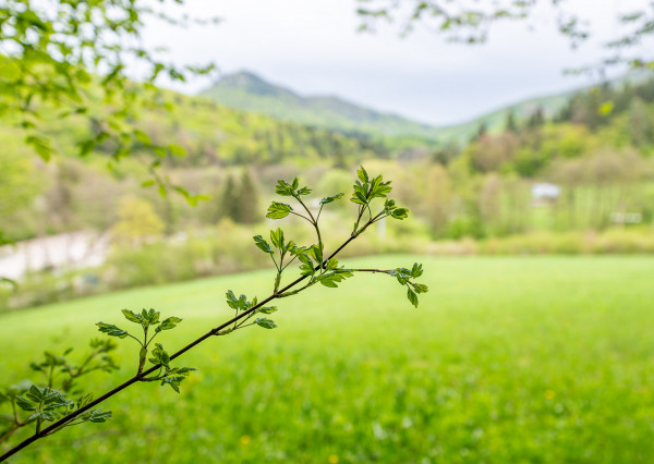 IBA U NÁS! Pozemok na stavbu chaty s výhľadom nad Belušou