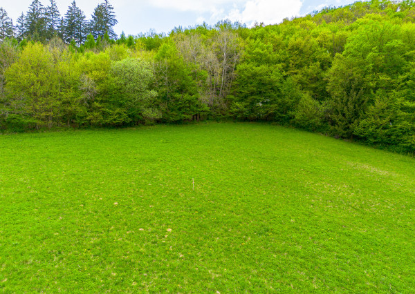 IBA U NÁS! Pozemok na stavbu chaty s výhľadom nad Belušou