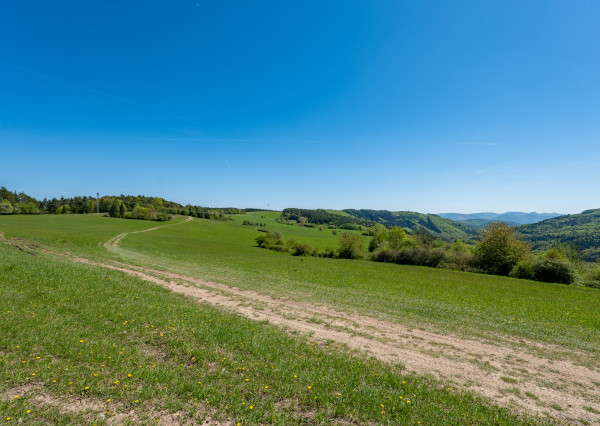 IBA U NÁS! Pozemok na rekreáciu s výhľadom nad obcou Zubák
