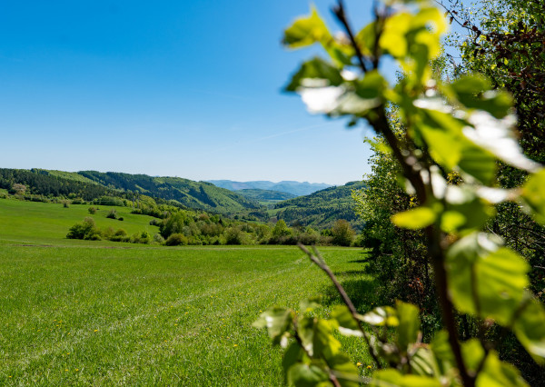 IBA U NÁS! Rekreačný pozemok s výhľadom - Zubák pri Púchove