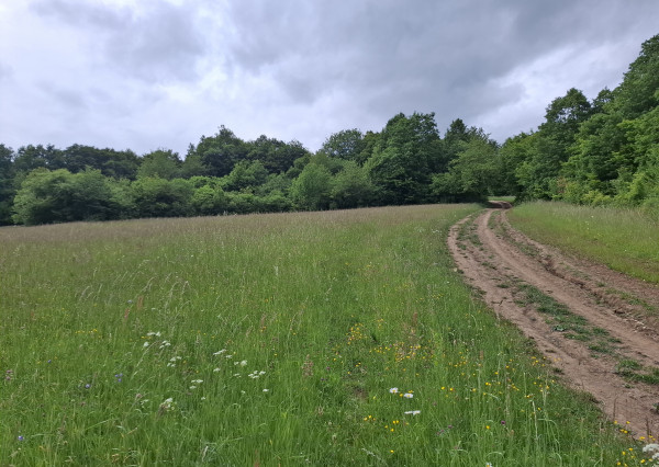IBA U NÁS! Pozemok s luxusným výhľadom - Zemianske Podhradie