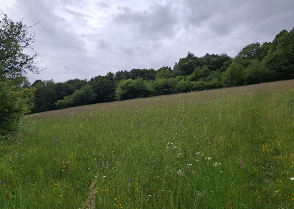 IBA U NÁS! Pozemok s luxusným výhľadom - Zemianske Podhradie