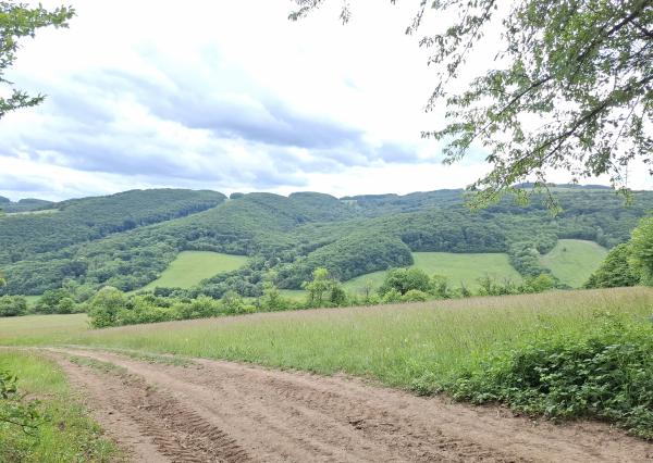 IBA U NÁS! Pozemok s luxusným výhľadom - Zemianske Podhradie