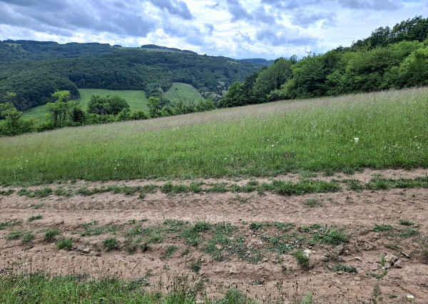 IBA U NÁS! Pozemok s luxusným výhľadom - Zemianske Podhradie