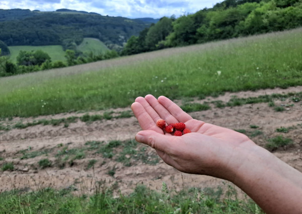 IBA U NÁS! Pozemok s luxusným výhľadom - Zemianske Podhradie