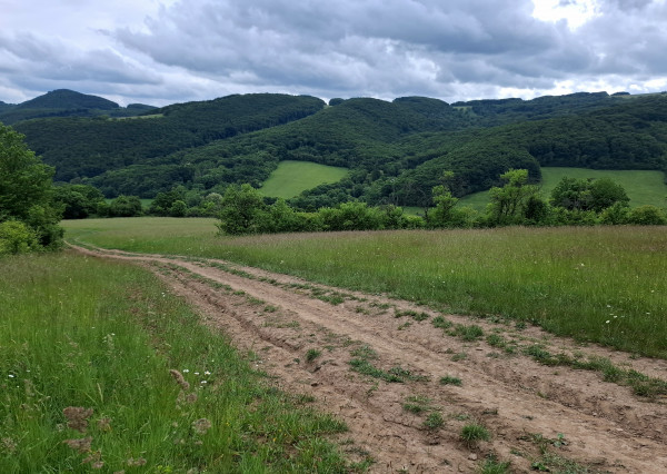 IBA U NÁS! Pozemok s luxusným výhľadom - Zemianske Podhradie