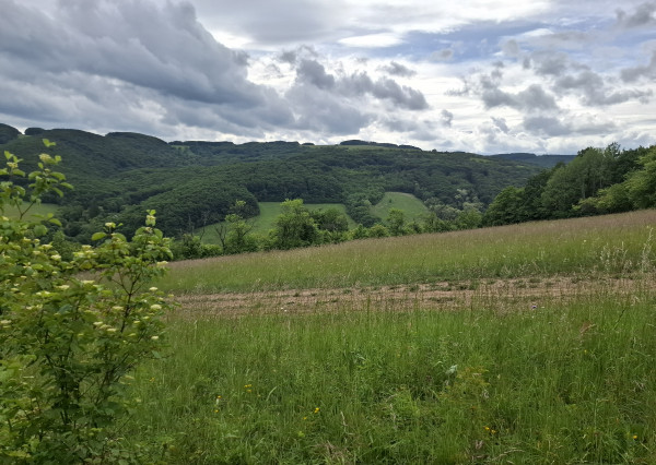 IBA U NÁS! Pozemok s luxusným výhľadom - Zemianske Podhradie