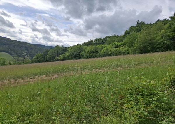 IBA U NÁS! Pozemok s luxusným výhľadom - Zemianske Podhradie