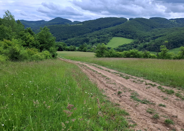 IBA U NÁS! Pozemok s luxusným výhľadom - Zemianske Podhradie
