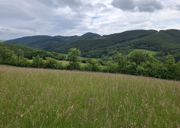 IBA U NÁS! Pozemok s luxusným výhľadom - Zemianske Podhradie