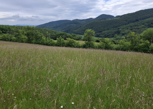 IBA U NÁS! Pozemok s luxusným výhľadom - Zemianske Podhradie