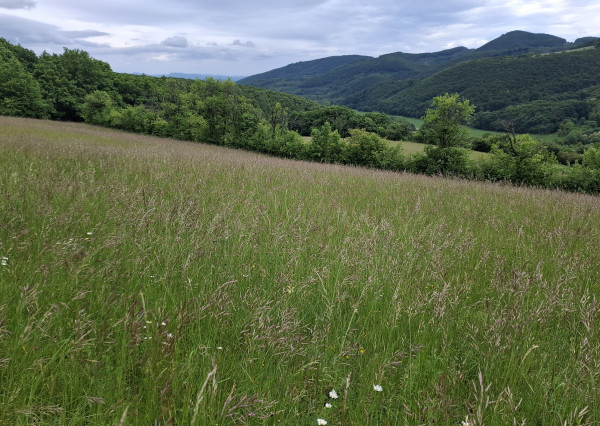 IBA U NÁS! Pozemok s luxusným výhľadom - Zemianske Podhradie