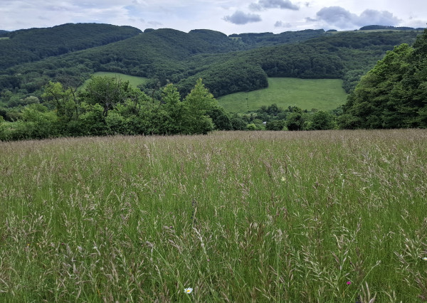 IBA U NÁS! Pozemok s luxusným výhľadom - Zemianske Podhradie