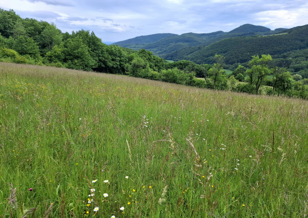 IBA U NÁS! Pozemok s luxusným výhľadom - Zemianske Podhradie