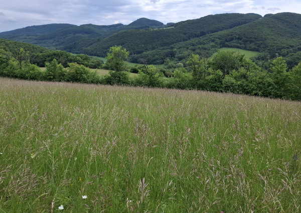 IBA U NÁS! Pozemok s luxusným výhľadom - Zemianske Podhradie