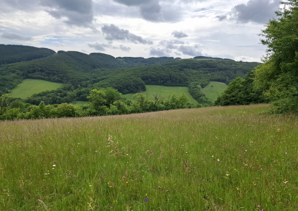 IBA U NÁS! Pozemok s luxusným výhľadom - Zemianske Podhradie